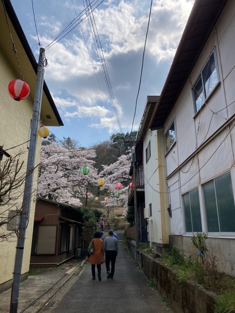 delicious_museum_7212さんが投稿した宮城野早川堤　桜並木に関する口コミの画像