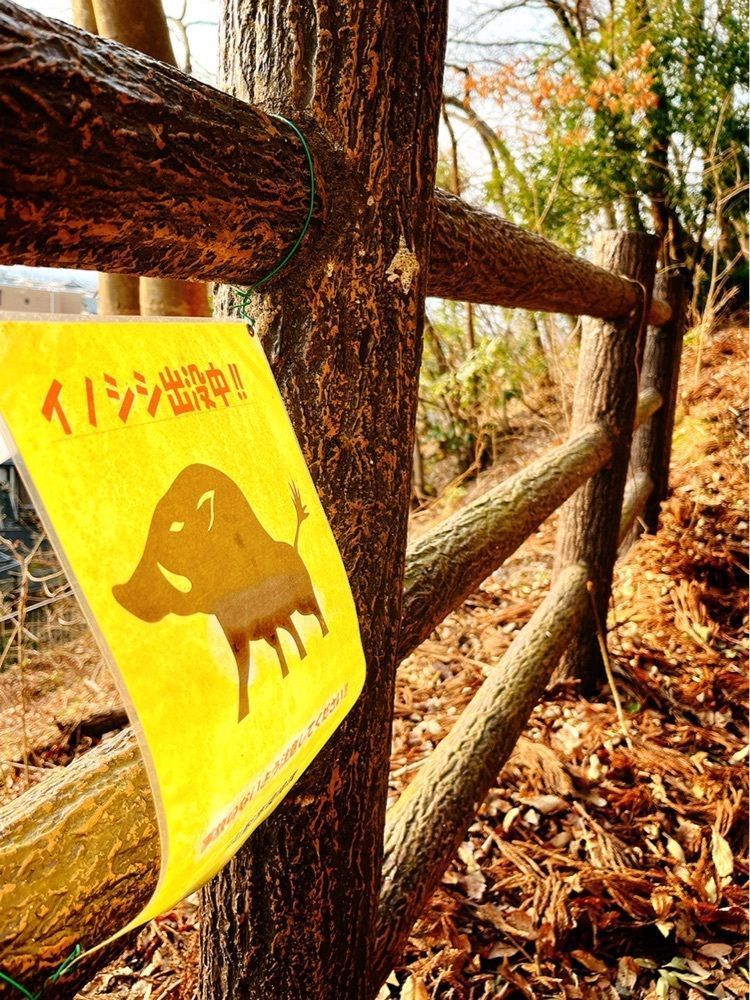 猫なぎ。さんが投稿したCafe にじの家に関する口コミの画像