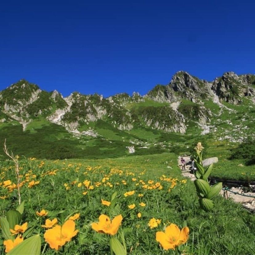 kohchanの画像