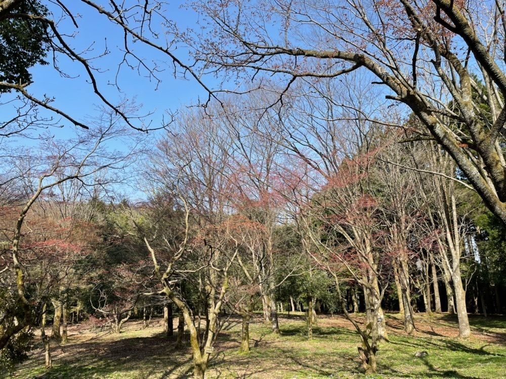 らぐ🏉🍺ビアさんが投稿した石川県樹木公園に関する口コミの画像