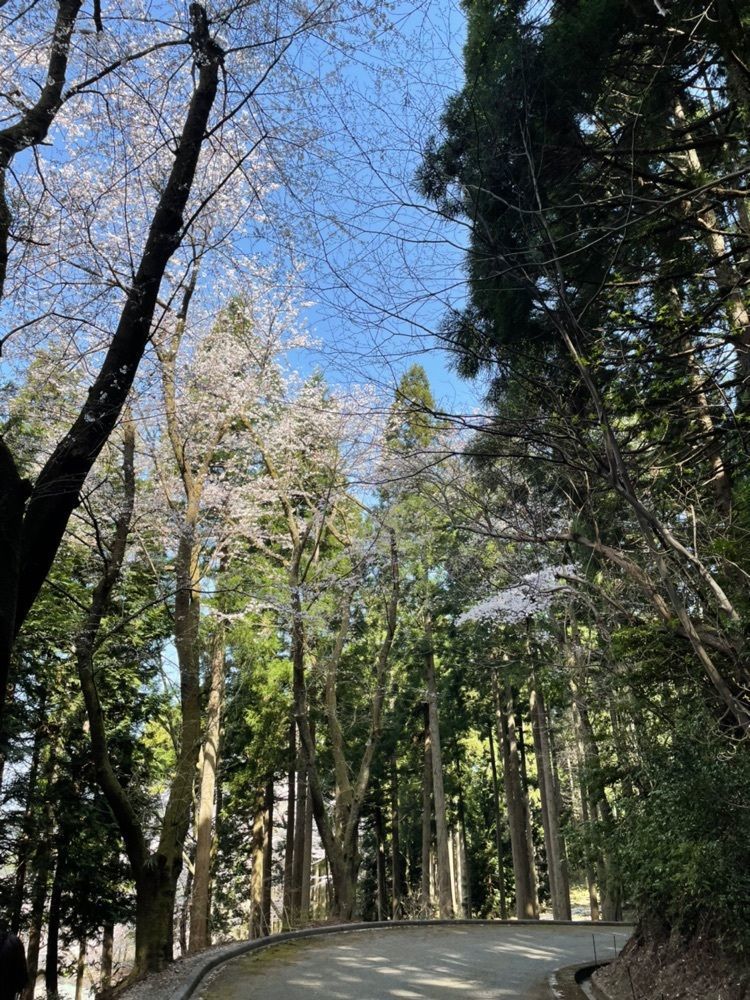 らぐ🏉🍺ビアさんが投稿した石川県樹木公園に関する口コミの画像