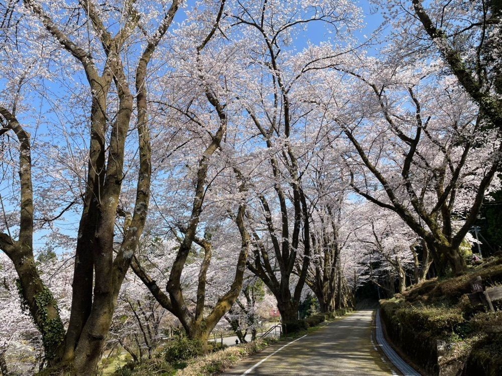 らぐ🏉🍺ビアさんが投稿した石川県樹木公園に関する口コミの画像
