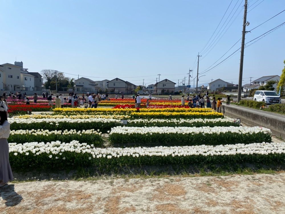 たまさんが投稿した北島チューリップ公園に関する口コミの画像