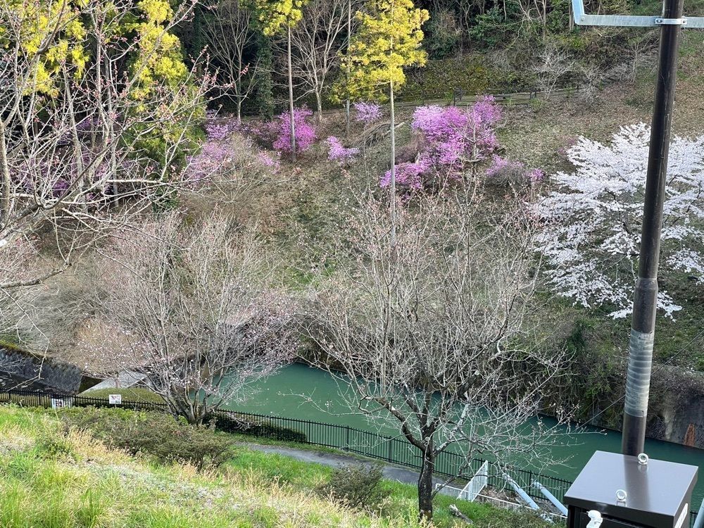 s.kさんが投稿した雀川砂防ダム公園に関する口コミの画像