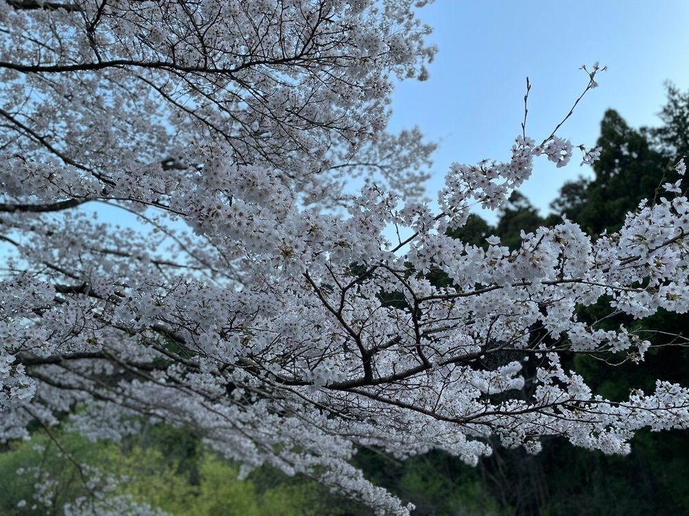 s.kさんが投稿した雀川砂防ダム公園に関する口コミの画像