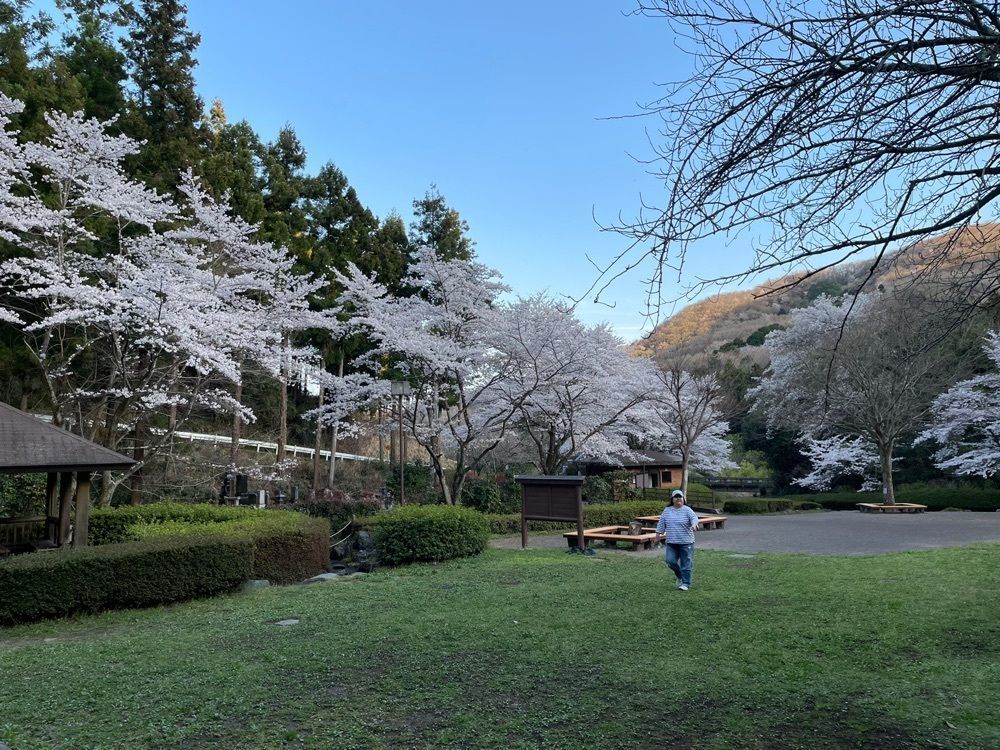 s.kさんが投稿した雀川砂防ダム公園に関する口コミの画像