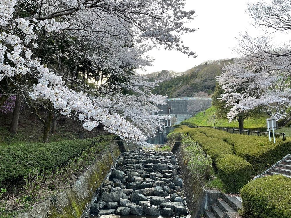 s.kさんが投稿した雀川砂防ダム公園に関する口コミの画像