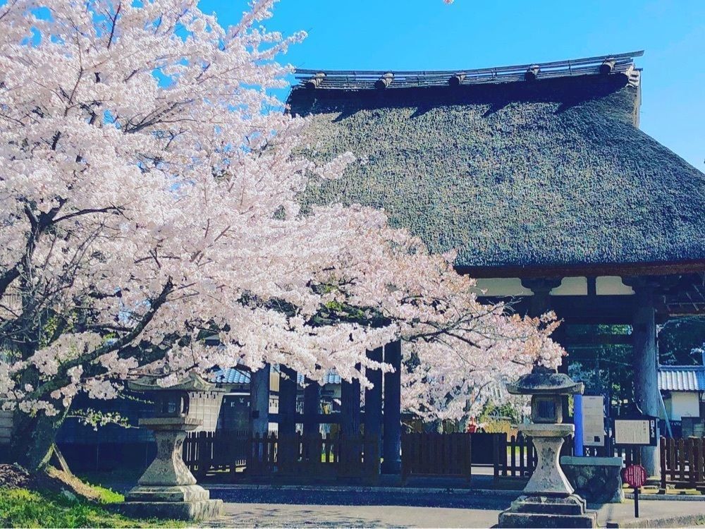 ステアリング人さんが投稿した旧東海道土山宿に関する口コミの画像