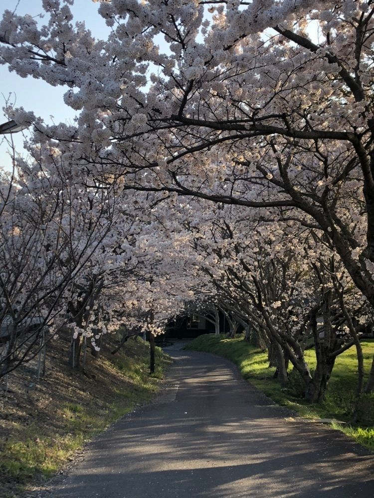 ステアリング人さんが投稿した旧東海道土山宿に関する口コミの画像
