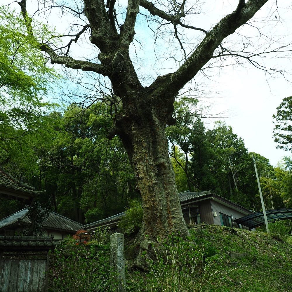 Shoさんが投稿した仏生寺に関する口コミの画像
