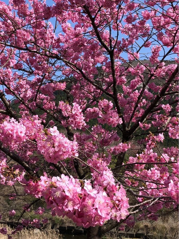 からっ風②さんが投稿した桐生市ふるさと探訪ふれあい館に関する口コミの画像