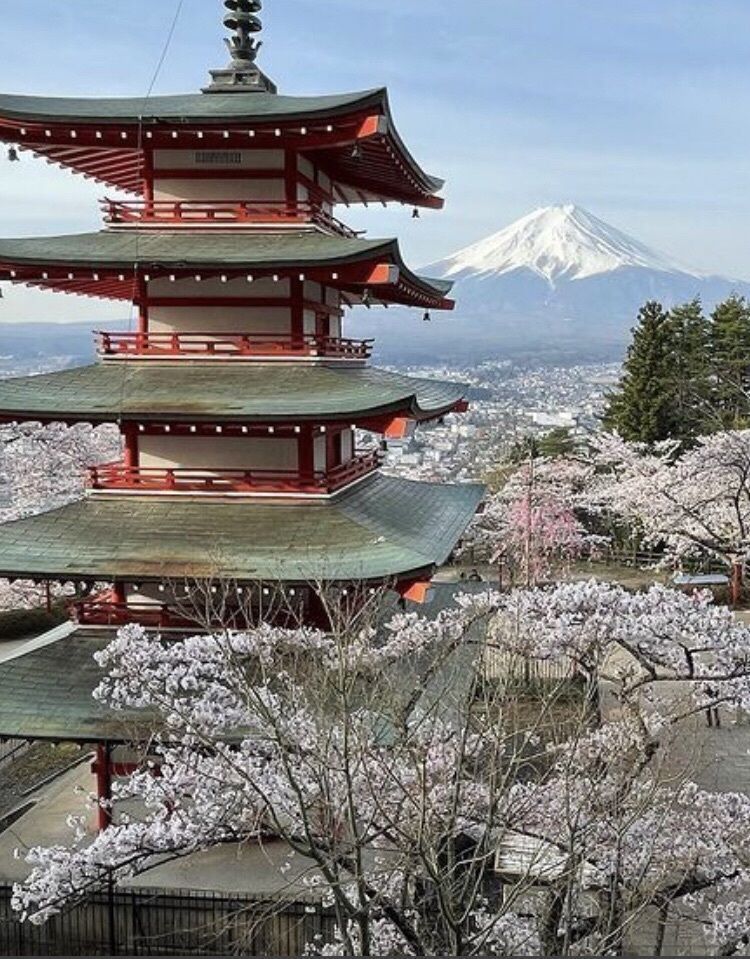 take.aさんが投稿したポワルに関する口コミの画像