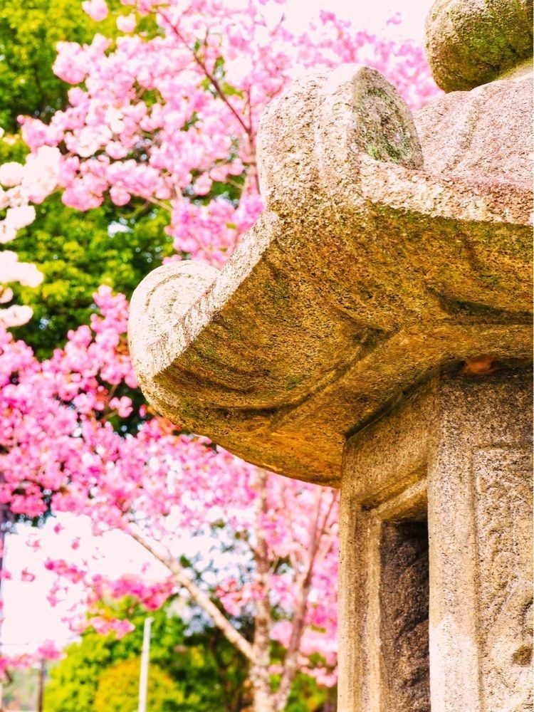 リリーさんが投稿した旧嵯峨御所大覚寺門跡に関する口コミの画像