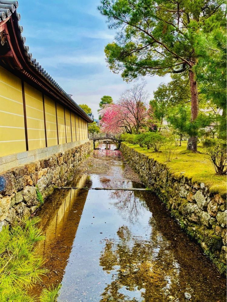 リリーさんが投稿した旧嵯峨御所大覚寺門跡に関する口コミの画像