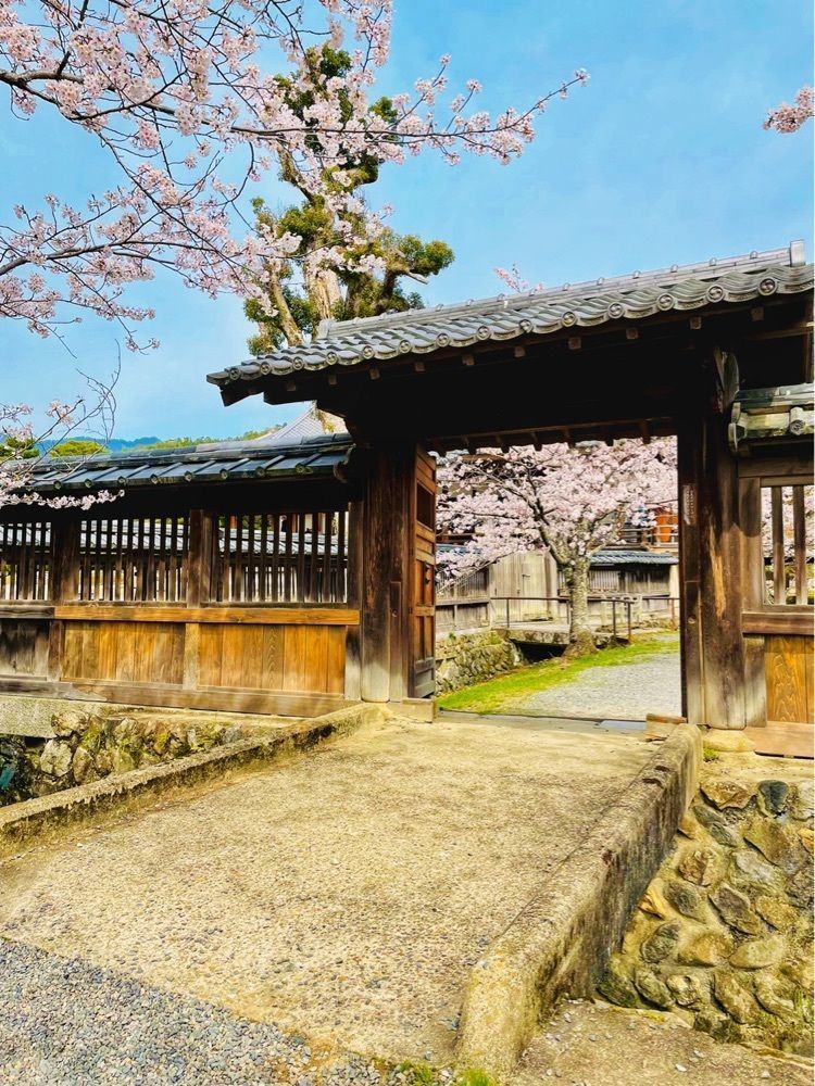 リリーさんが投稿した旧嵯峨御所大覚寺門跡に関する口コミの画像
