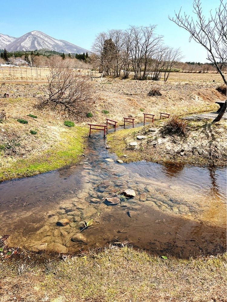猫なぎ。さんが投稿した堺田分水嶺に関する口コミの画像