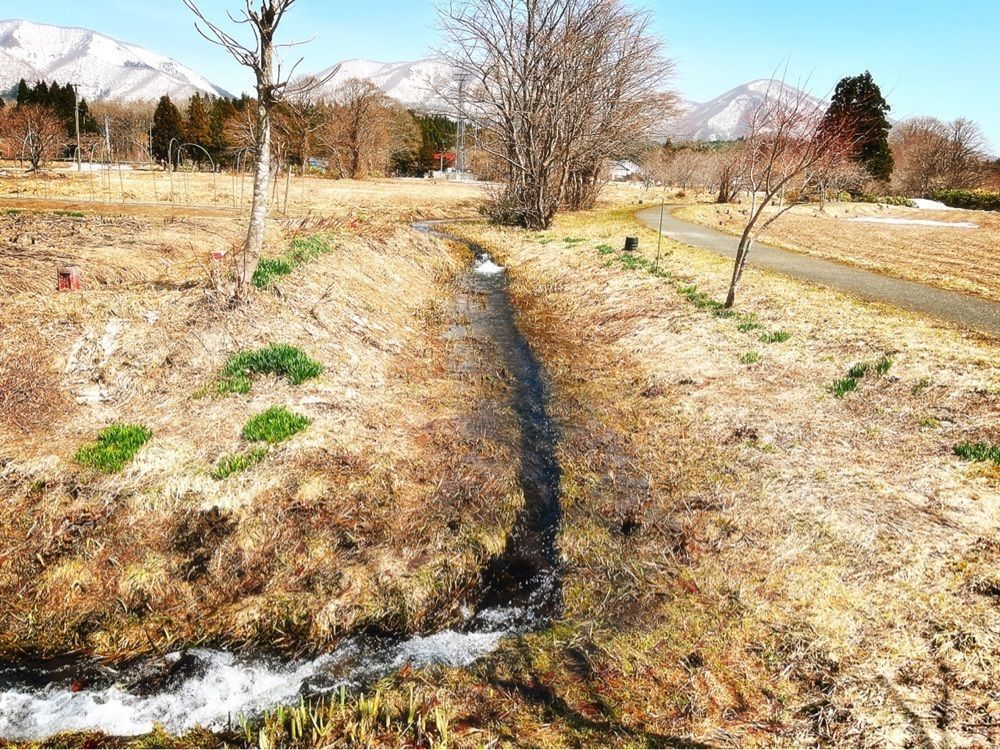 猫なぎ。さんが投稿した堺田分水嶺に関する口コミの画像