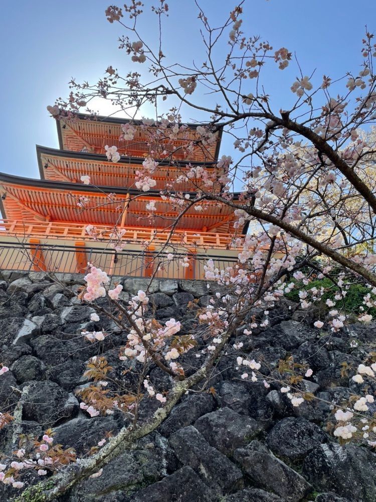 makiさんが投稿した那智の大滝に関する口コミの画像