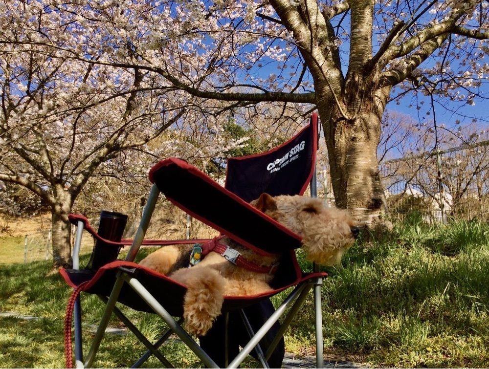 池田モコさんが投稿した日岡山公園に関する口コミの画像