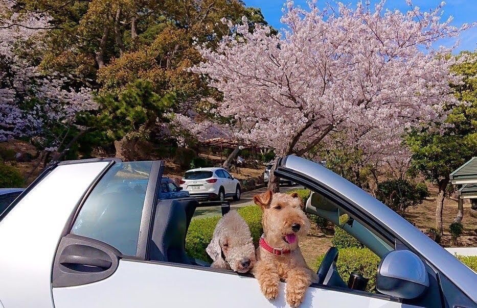 池田モコさんが投稿した日岡山公園に関する口コミの画像