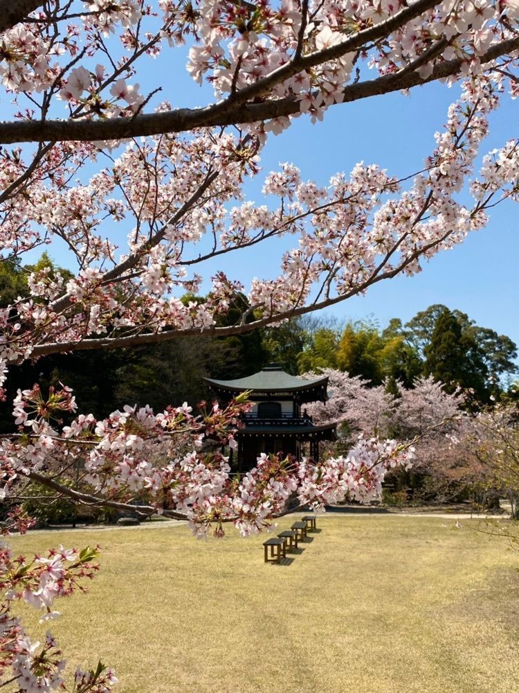 NBR OTさんが投稿した勧修寺に関する口コミの画像