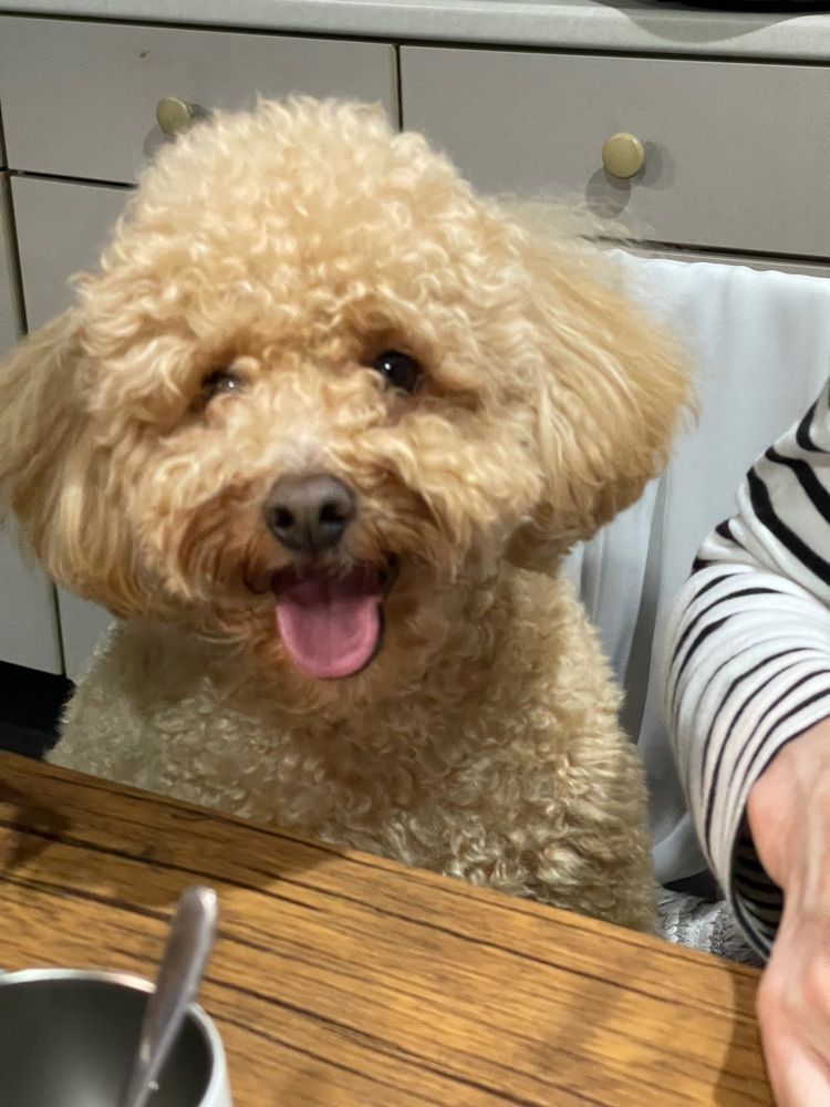 ぺたこ♡さんが投稿した餃子の王将 八戸の里店（ギョウザノオウショウ）に関する口コミの画像