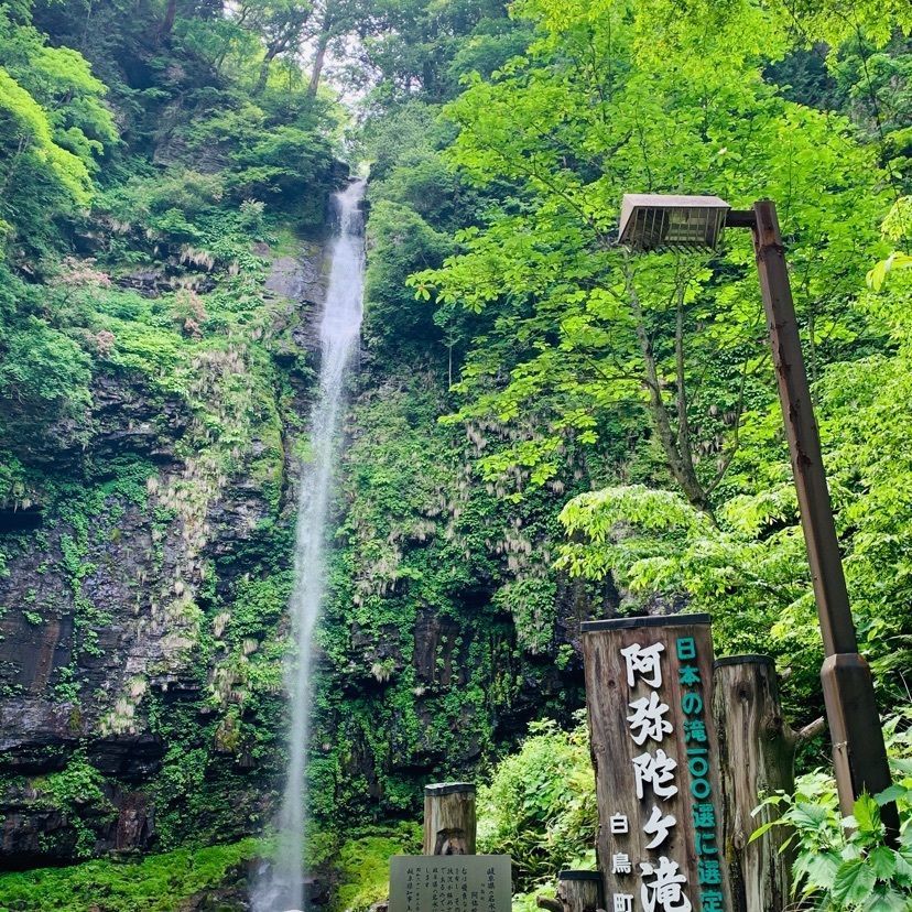 だるま大使さんが投稿した阿弥陀ヶ滝荘に関する口コミの画像