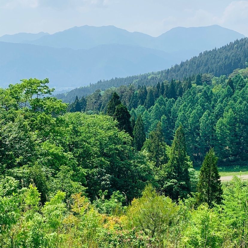 だるま大使さんが投稿したアウトドア スタイル アミダ（OUTDOOR STYLE AMIDA【旧店名】ハートピア 四季）に関する口コミの画像