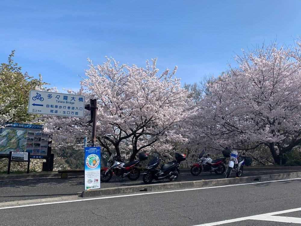 Akiraさんが投稿した積善山展望台に関する口コミの画像