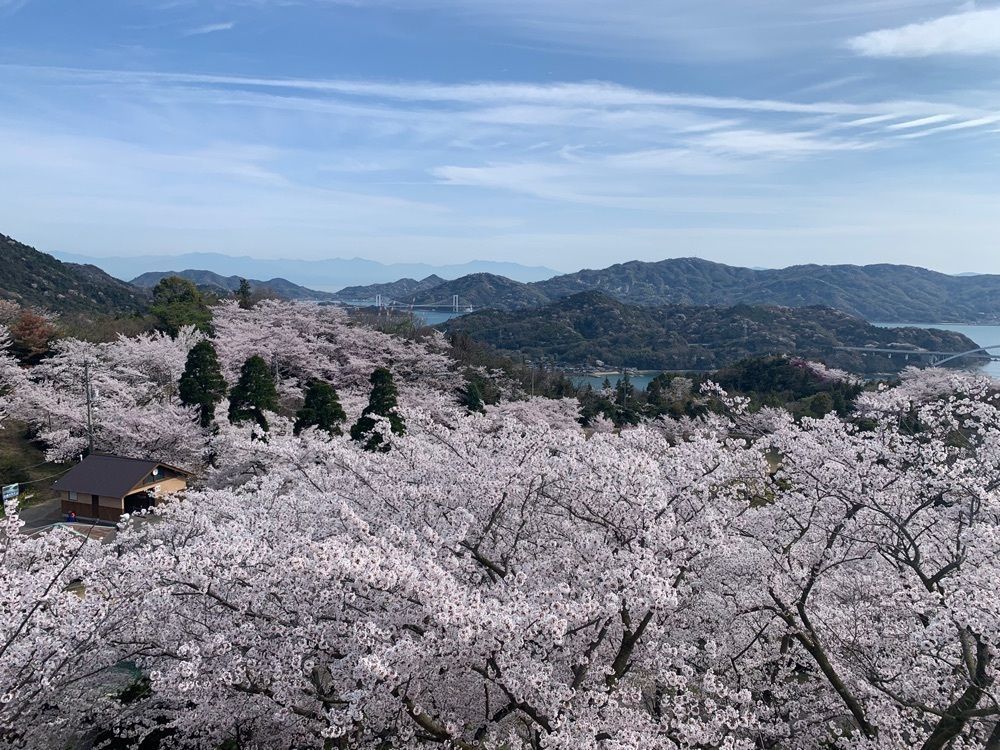 Akiraさんが投稿した積善山展望台に関する口コミの画像