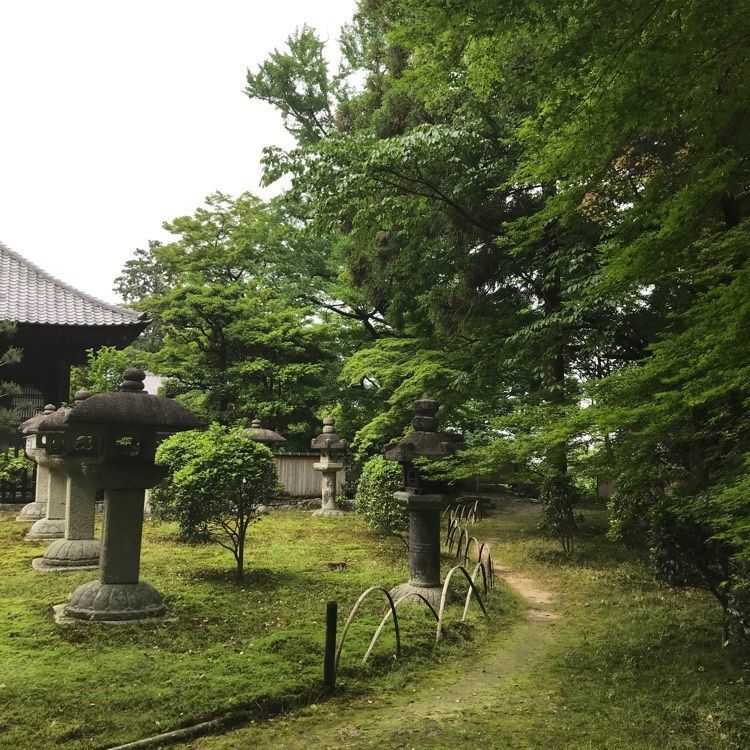 NBR OTさんが投稿した滋賀院門跡に関する口コミの画像