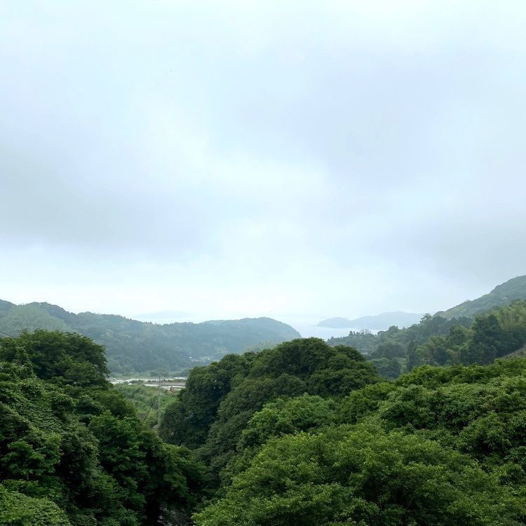 Rhapsodyさんが投稿した加茂ゆらりんこ橋に関する口コミの画像