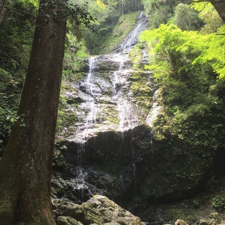 brave777さんが投稿した湯郷温泉に関する口コミの画像