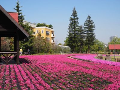 ミササガパーク 8枚目