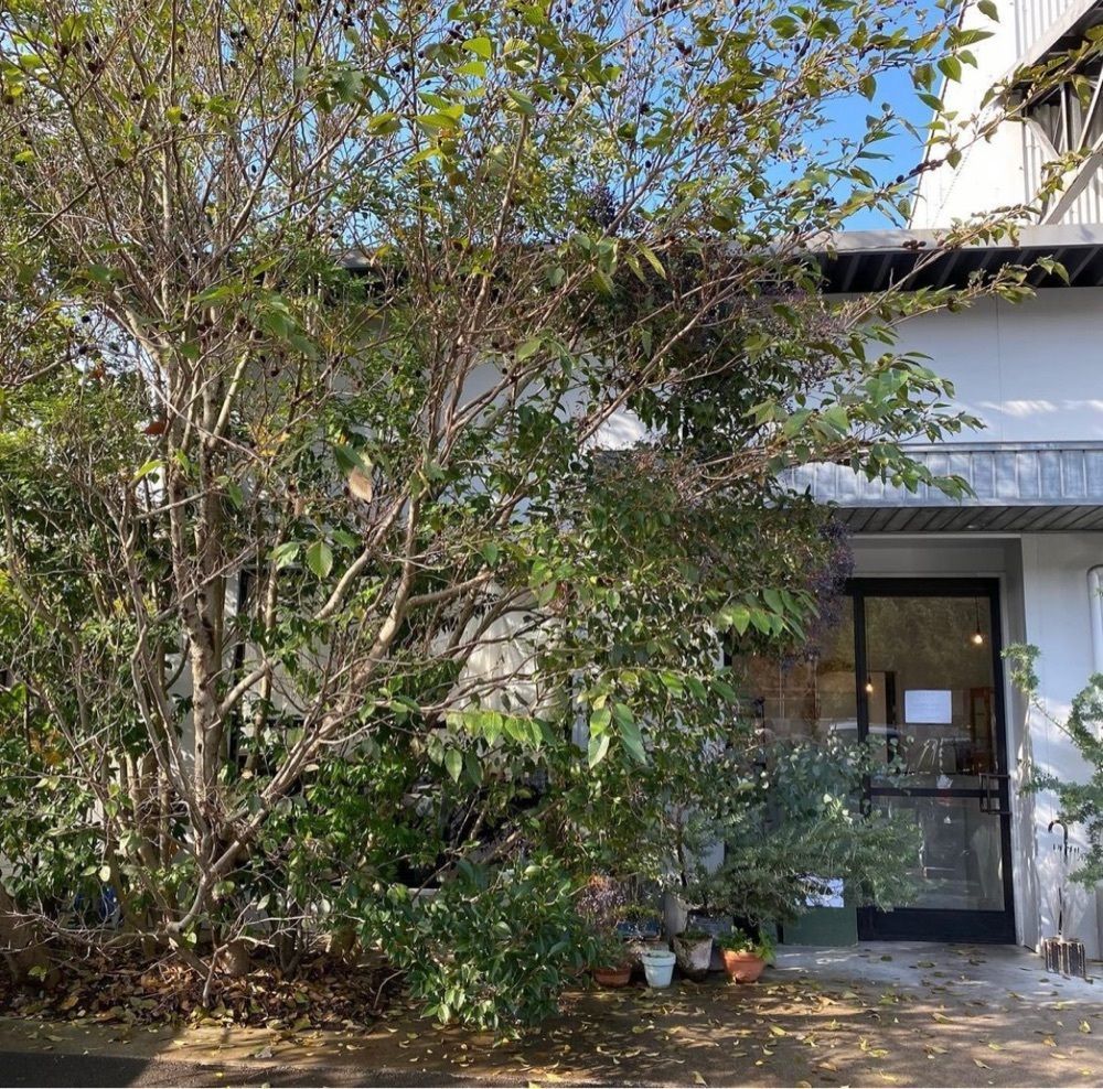 おでかけ探検部さんが投稿したナンテン（nanten）に関する口コミの画像