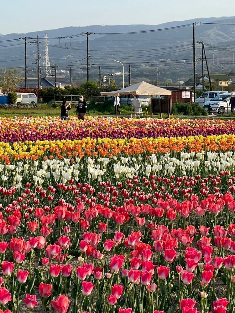 ビンカさんが投稿したシャトレーゼ 足柄店（Chateraise）に関する口コミの画像