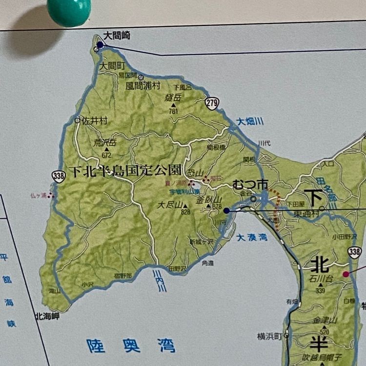 かめ_メグミさんが投稿した坪田旅館に関する口コミの画像