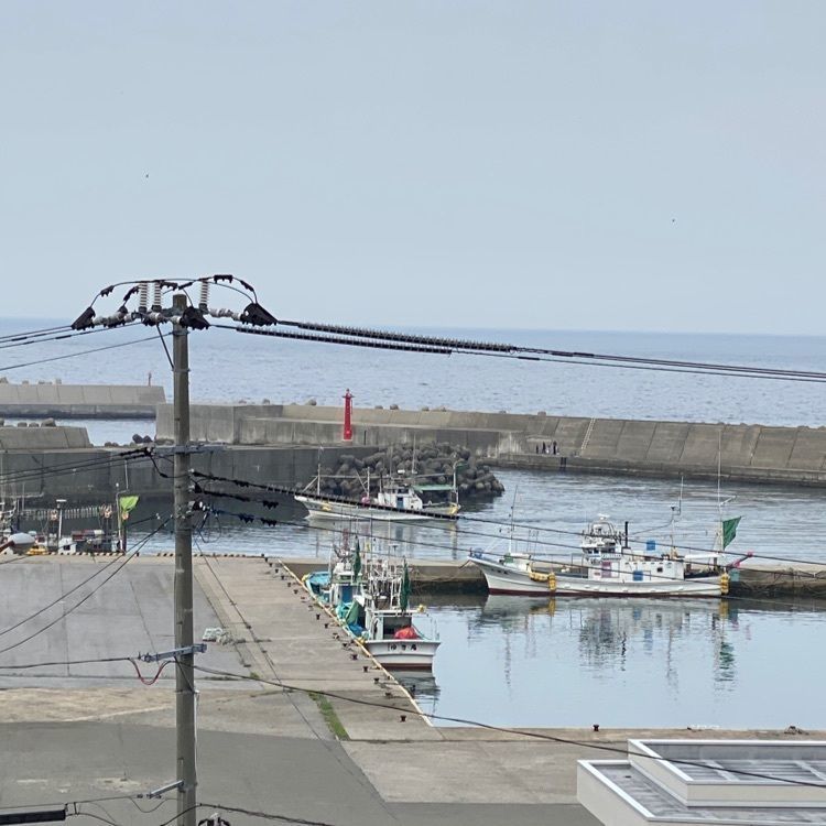 かめ_メグミさんが投稿した坪田旅館に関する口コミの画像