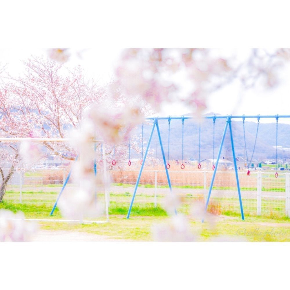 urban_garden_243aさんが投稿したおの桜づつみ回廊に関する口コミの画像