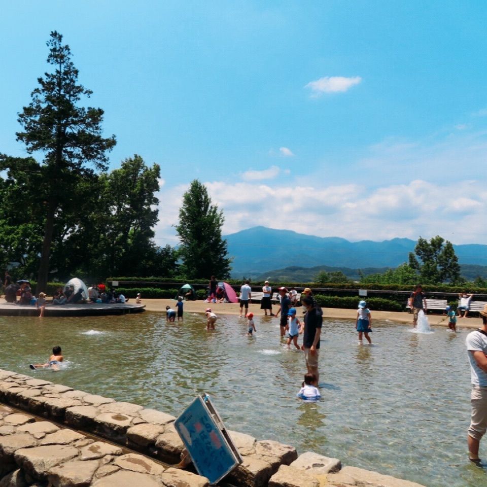 yoshiさんが投稿したぼうさいの丘公園に関する口コミの画像