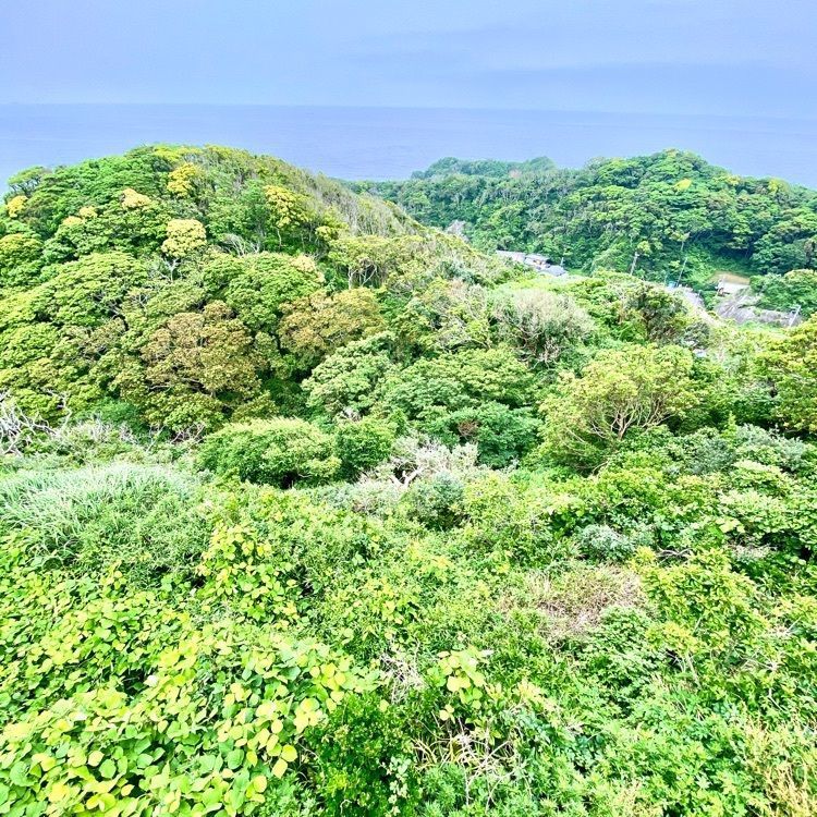 Satoshi.Nさんが投稿した官軍塚に関する口コミの画像