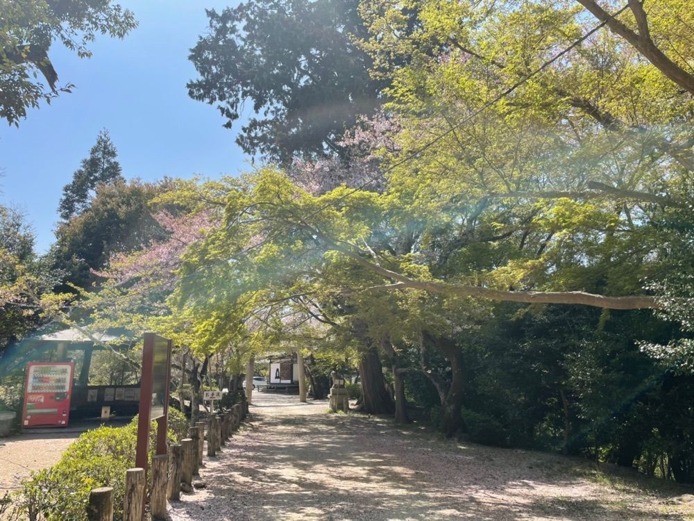 kikiさんが投稿した松尾寺に関する口コミの画像