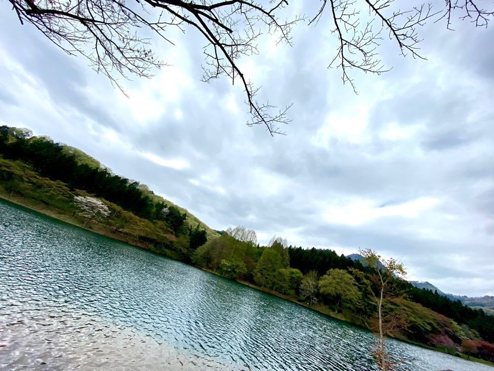 たつさんが投稿した赤川ダム湖に関する口コミの画像