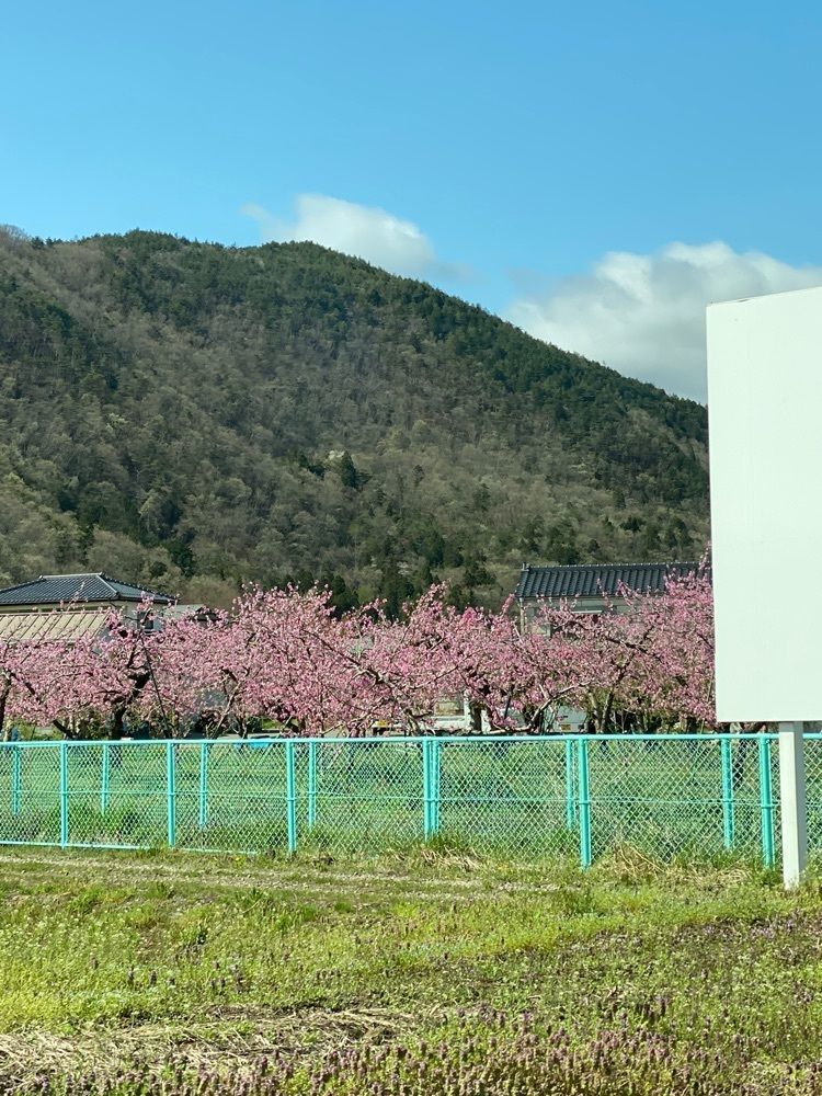 かめ_メグミさんが投稿した飯坂温泉花ももの里に関する口コミの画像