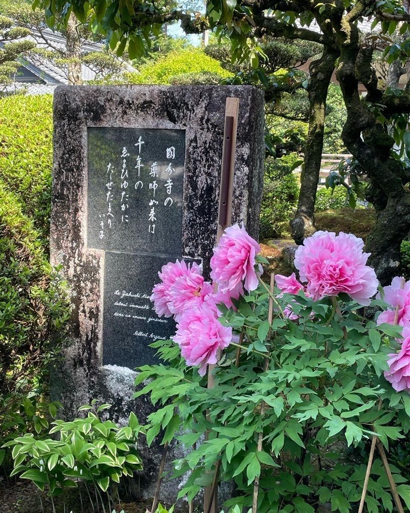 cool_culture_9717さんが投稿した国分寺に関する口コミの画像