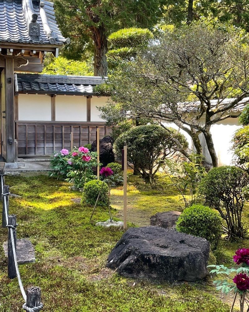 cool_culture_9717さんが投稿した国分寺に関する口コミの画像