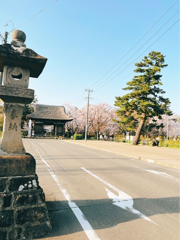 猫なぎ。さんが投稿した陸奥国分寺跡に関する口コミの画像