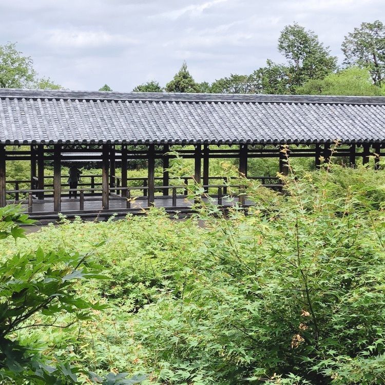 nicanさんが投稿した東福寺本坊庭園に関する口コミの画像