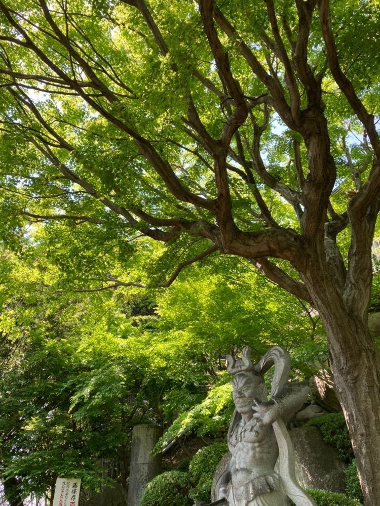 rural_village_e4eaさんが投稿した吉祥寺（福岡県北九州市）に関する口コミの画像