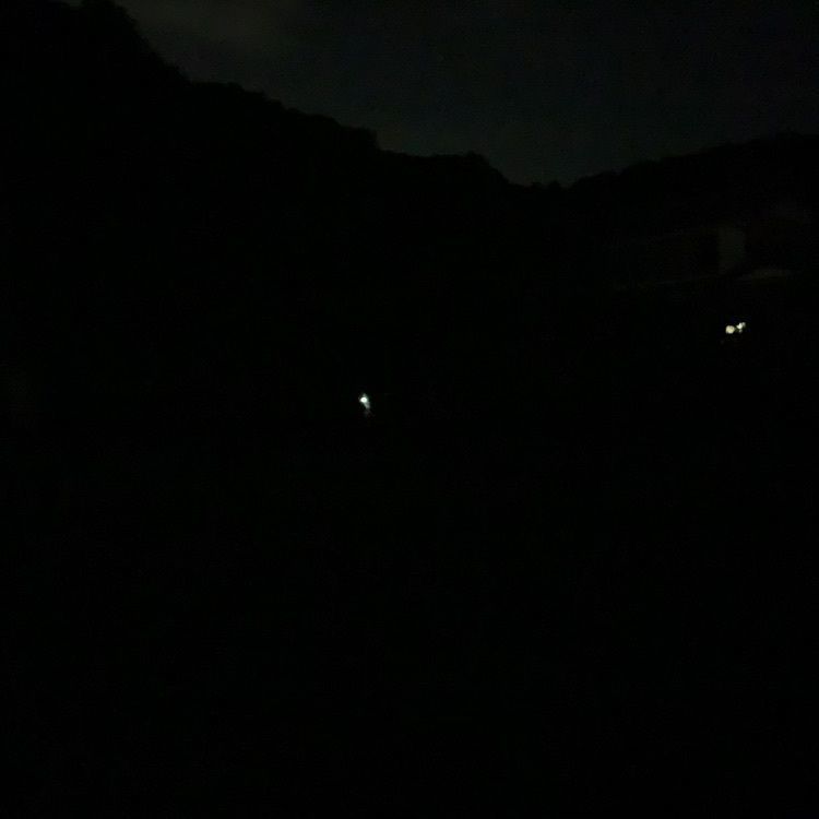 Howl Monさんが投稿した大日源氏ぼたるの里に関する口コミの画像